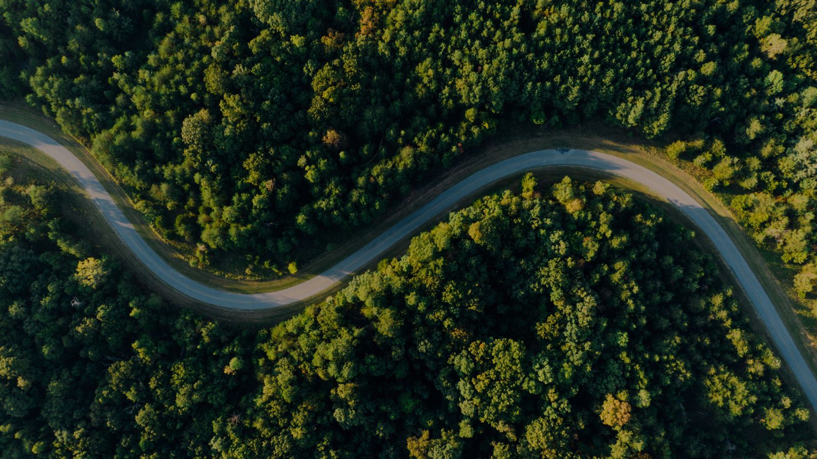 What’s so good about interim finance talent solutions