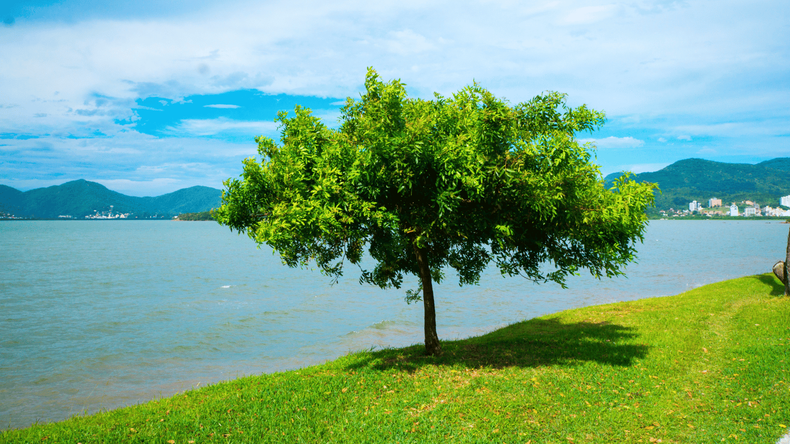 Nurturing Talent in a Tough Recruitment Market